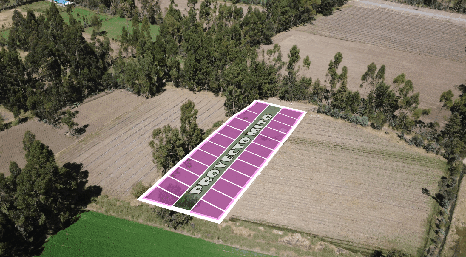 Vista aérea del terreno del Proyecto Mito con la distribución de lotes señalada